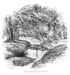 Ansicht in den Great Huntley Woods